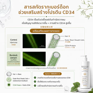 ฮาวิล่าห์ เจแปน แชมพูลดปัญหาผมหลุดร่วง ให้ผมหนาแน่น มีวอลลุ่มขึ้น | Havilah Japan Anti-Hair Loss
