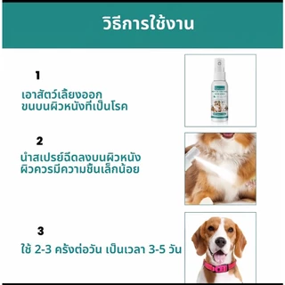 พร้อมจัดส่ง สเปรย์ผิวหนังสุนัขและแมว เชื้อรา กลาก เกลื้อน ขี้เรื้อน หายไว 30ml น้ำยาบำรุงผิวสัตว์เลี้ยง ส่วนผสมจากพืช.