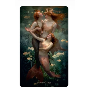 W.I.T.C.H Woman In Total Control of Herself Tarot ไพ่ยิปซีแท้ธีมแม่มดขอบทองหรูหรา ไพ่ยิปซี ไพ่ทาโรต์ Tarot Deck