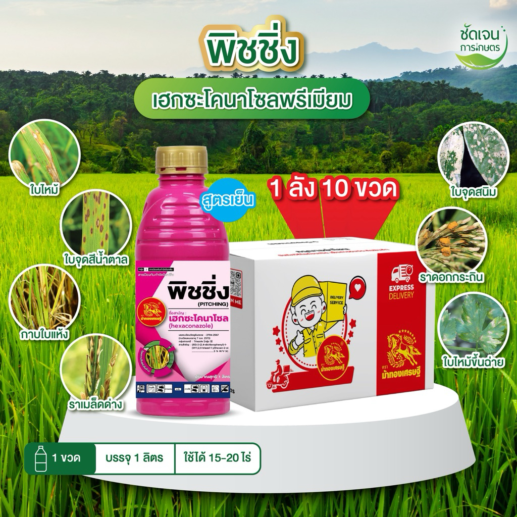 พิชชิ่ง เฮกซะโคลนาโซล พรีเมียม**ยกลัง10ขวด**(ขนาด1 ลิตร) เชื้อราทุกชนิดใช้ได้ทุกพืช ใบไหม้ ใบจุด ราหลุด ราเมล็ดด่าง