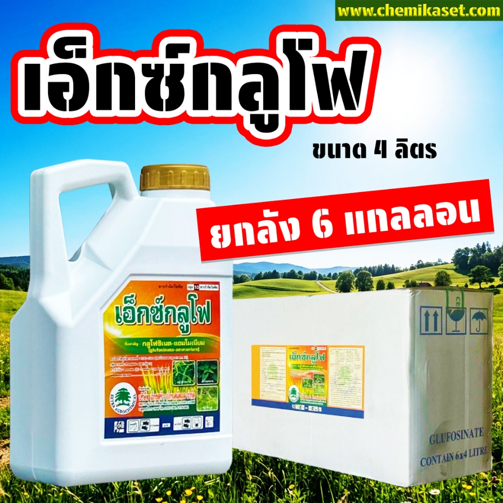(ยกลัง6แกลลอน) เอ็กซ์กลูโฟ ขนาด 4 ลิตร กลูโฟซิเนตแอมโมเนียม กำจัดหญ้าทุกชนิด ปลอดภัยต่อพืชที่ปลูก