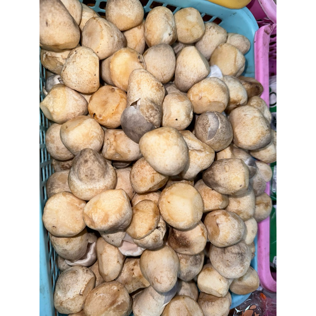 เห็ดฟาง ขนาด300 กรัม