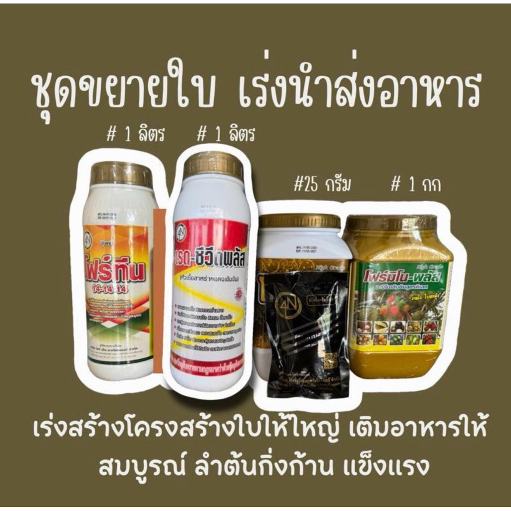 ชุดขยายใบ บำรุงต้น โฟร์ทีน 1 ลิตร + เรดซีวีดพลัส 1 ลิตร+ โฟร์พลัส(ซองดำ) 25 กรัม +โฟร์มิโน 1 กก