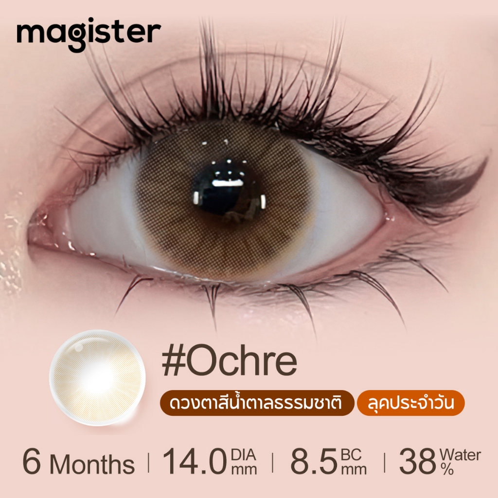 Magister Realcon คอนแทคเลนส์  6 เดือน 14MM(0°-800°) Ochre Graphite Amber Brown/Gray คอนแทคเลนส