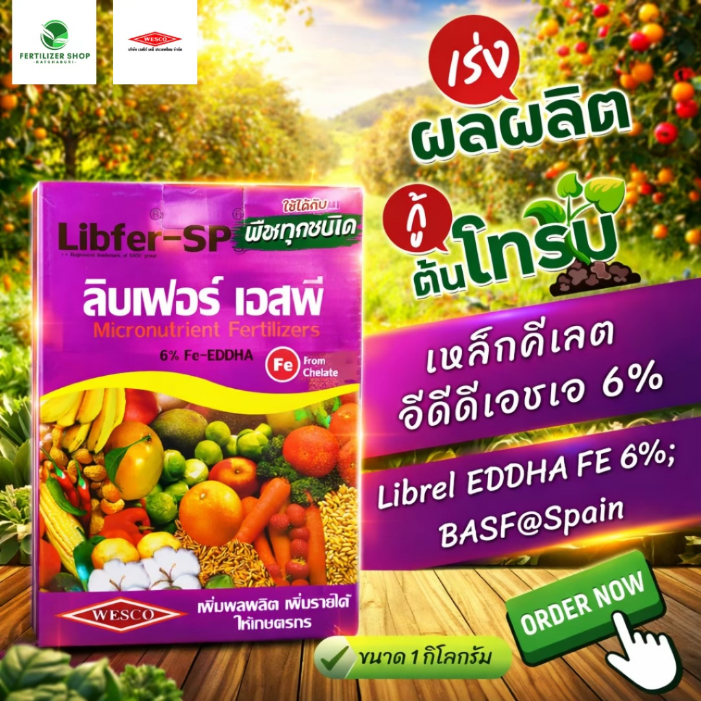 เวสโก้ เหล็กม่วง Fe6% Chelate-EDDHA (ขนาด 1kg) เวสโก้