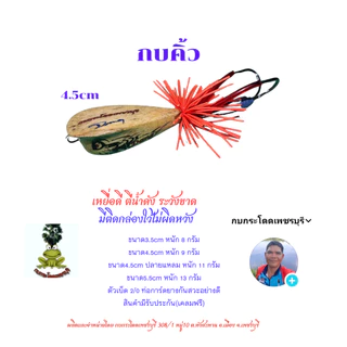 กบคิ้ว ขนาด3.5cm,4.5cm,5.5cm กบกระโดดเพชรบุรี