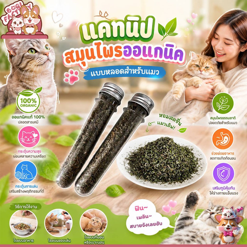 Boqi Factory แคทนิป สมุนไพรออร์แกนิก แบบหลอดสำหรับแมว LYC10013