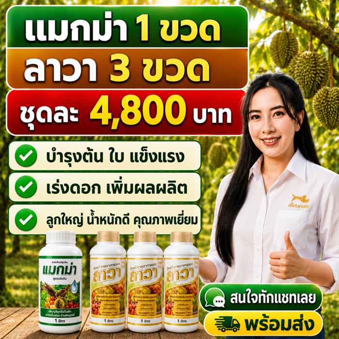 ลาวา-แมกม่า พรีเมี่ยม จัดชุดเร่งผลผลิต ทันใจ เสริมประสิทธิภาพ ปุ๋ยทางใบ ใช้ได้กับพืชทุกชนิด