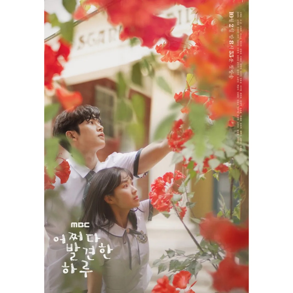 Extraordinary You รักนี้หัวใจบอกไม่ธรรมดา ซีรีย์ เกาหลี พากย์ไทย ซับไทย 1080p USB แฟลชไดร์ สมาร์ททีวี เอนดรอยทีวี คอมพิว