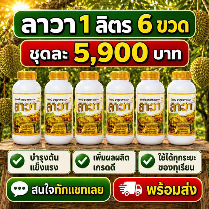 ชุดยอดนิยม 6 ขวด แมกม่าลาวา อาหารทางใบ สวนใหญ่มือโปร ทุเรียนพูใหญ่ เนื้อแน่น สีสวย น้ำหนักดี