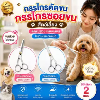 Boqi Factory กรรไกรตัดขน + กรรไกรซอยขนสัตว์เลี้ยง สแตนเลส สำหรับสุนัขและแมว มีให้เลือก 2 แบบ Scissors