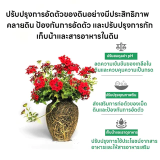 【GreenThumb】สารปรับปรุงดิน สารปรับสภาพดิน 200g ปรับสภาพติน เพิ่มราก ดินดี โรคโคนเน่า โรยผสมดิน หรือละลายน้ำฉีดพ่น