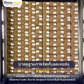 🛒Oishi-Fresh🥬ต้นหอมญี่ปุ่น ปลอดสารพิษ 1 กก. รสชาติกรอบ สด ใหม่ ใยอาหารสูง หวานออร์แกนิด ผัก เคลมได้ 1-2 วัน
