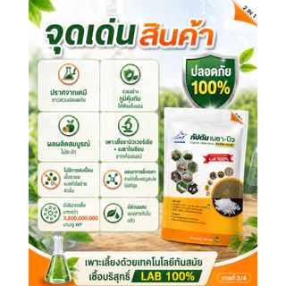 กัปตันเมธาบิว สูตรเข้มข้นเชื้อ 2 เท่า อัพอาหารเชื้อ บิวเวอร์เรีย+เมธาไรเซียม แบบผง(100กรัม)