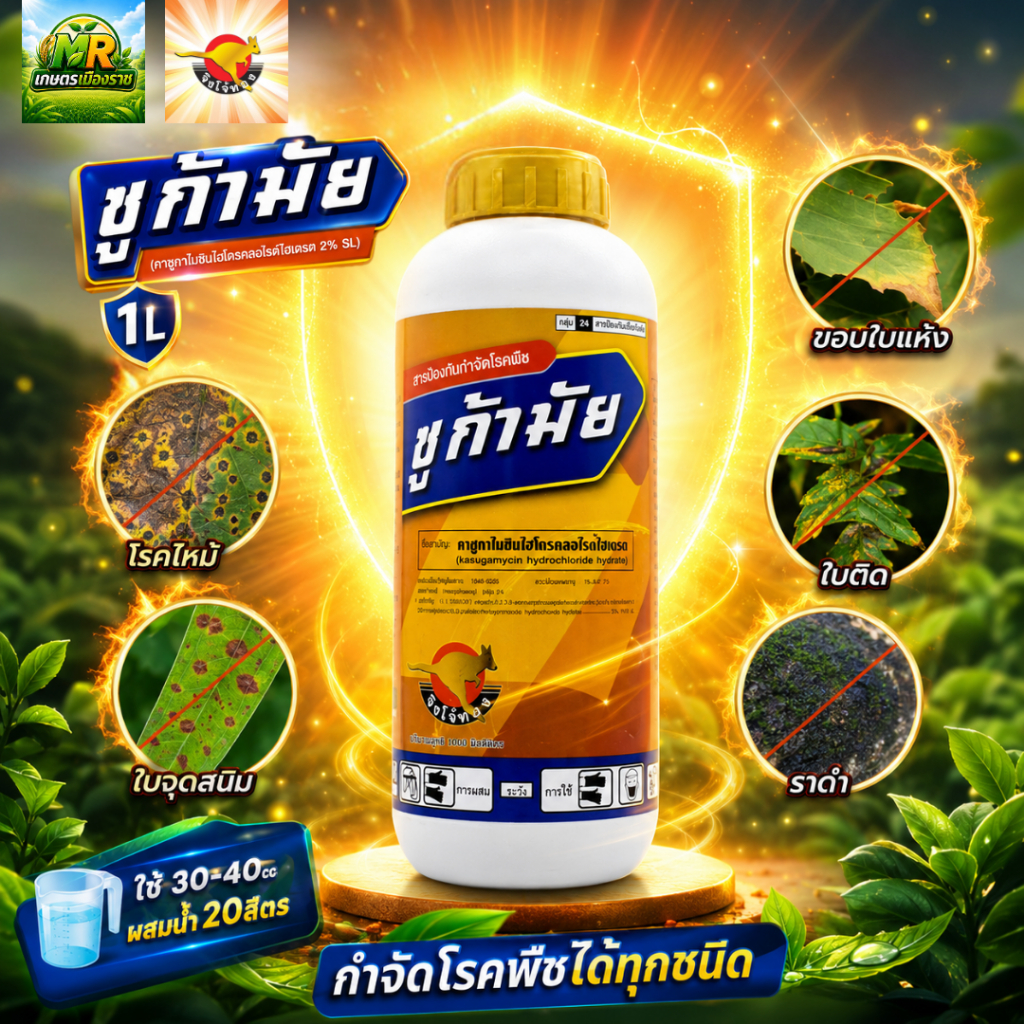 ซูก้ามัย (คาซูกาไมซินไฮโดรคลอไรด์ไฮเดรต 2% SL) 1L #เกษตรเมืองราช #จิงโจ้ทอง