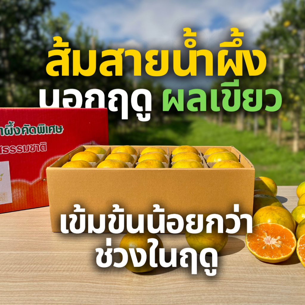 [ส่งฟรี] ส้มสายน้ำผึ้ง (นอกฤดู) - ของขวัญ คัดพิเศษ ส่งตรงจากสวน อ.ฝาง