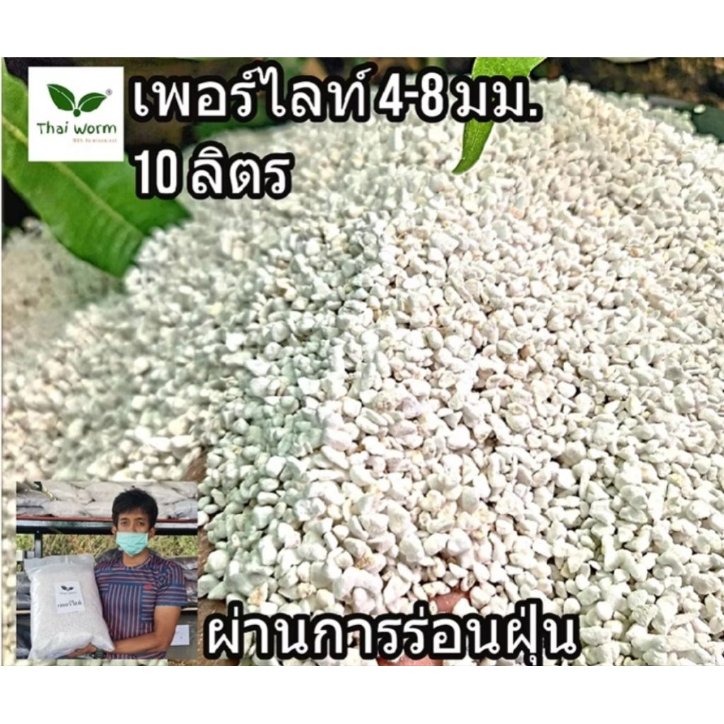ส่งฟรี! เพอร์ไลท์เม็ดใหญ่4-8มม.*(แบบร่อนฝุ่นซ้ำ)