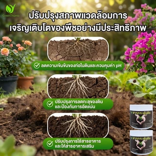 【GreenThumb】ชุดปุ๋ยบำรุงพืช โพแทสเซียมไดไฮโดรเจนฟอสเฟต+สารปรับปรุงดิน เร่งใบ ดอกเยอะ ปรับดินให้มีประสิทธิภาพ[ชุด 1แถม1]