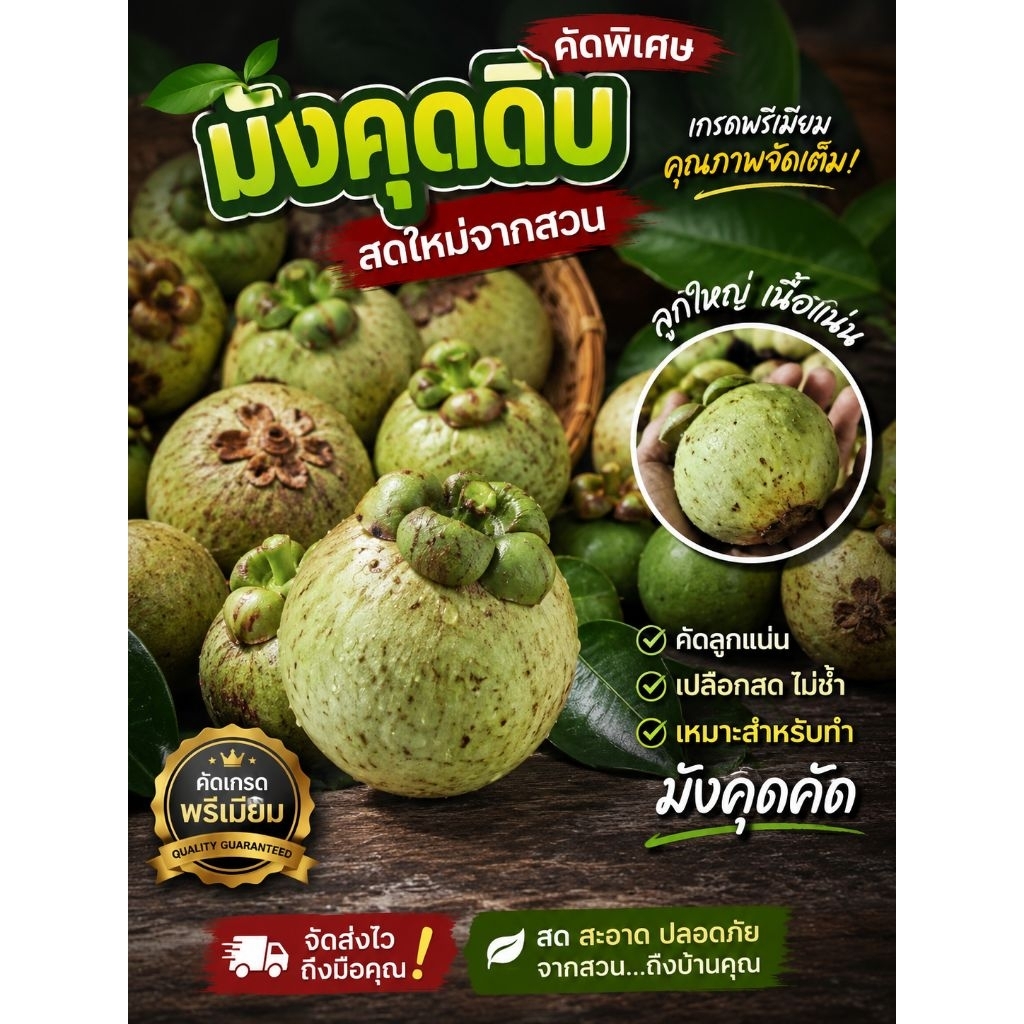 มังคุดดิบสำหร้บทำม้งคุดคัด