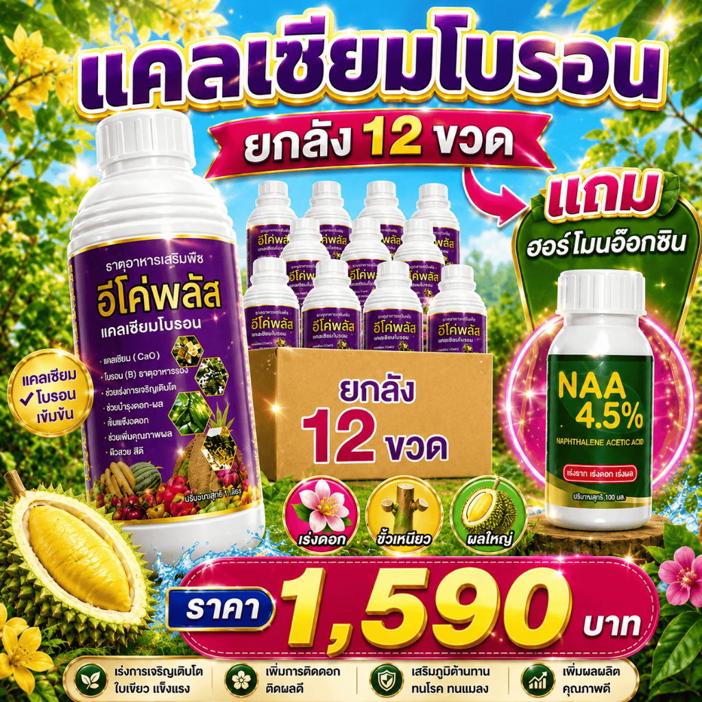ยกลัง12ขวด แคลเซียมโบรอน อีโค่พลัส + แถมฟรี NAA ฮอร์โมนเร่งดอก 4.5% | บำรุงดอก เพิ่มติดผล ผลใหญ่ แข็งแรง 12ลิตร