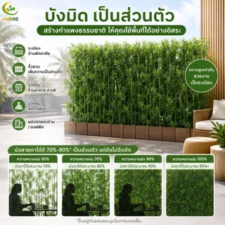 【เป็นมิตรกับสิ่งแวดล้อม ฉากกั้นห้อง】ต้นไม้ปลอม ต้นไม้ปลอมใหญ่ ต้นไผ่ 120/150/180cm โดนแดด โดนฝน สีไม่ซีดจาง