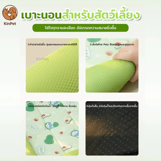 ที่นอนแมว ที่นอนสุนัข ที่นอนสัตว์เลี้ยง เสื่อสำหรับสัตว์เลี้ยง ที่นอนสัตว์เลี้ยงระบายอากาศได้ดี ทำความสะอาดง่าย Pet matt