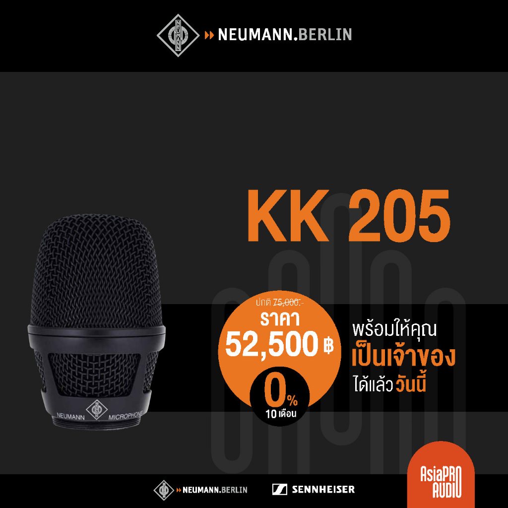 NEUMANN KK 205 - หัวไมโครโฟน คอนเดนเซอร์