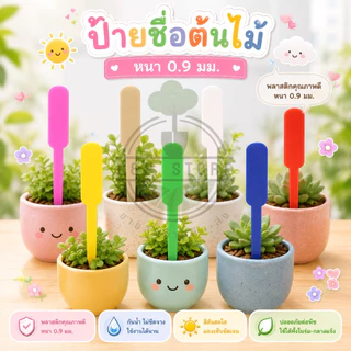 ป้ายชื่อต้นไม้แบบไอติม ป้ายพลาสติก หนา 0.9 มม. แพ็คประมาณ100ชิ้น (พร้อมส่ง) O&P