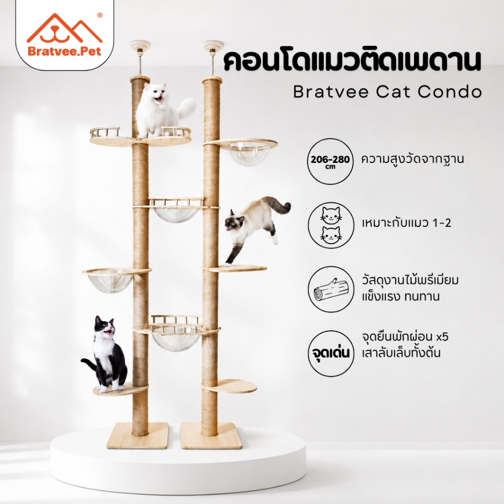 [Bratvee] คอนโดแมวติดเพดาน ไม่ต้องเจาะ ปรับสูงได้ 260–320 cm | คอนโดแมวทรงสูง DIY พร้อมชั้นนอน