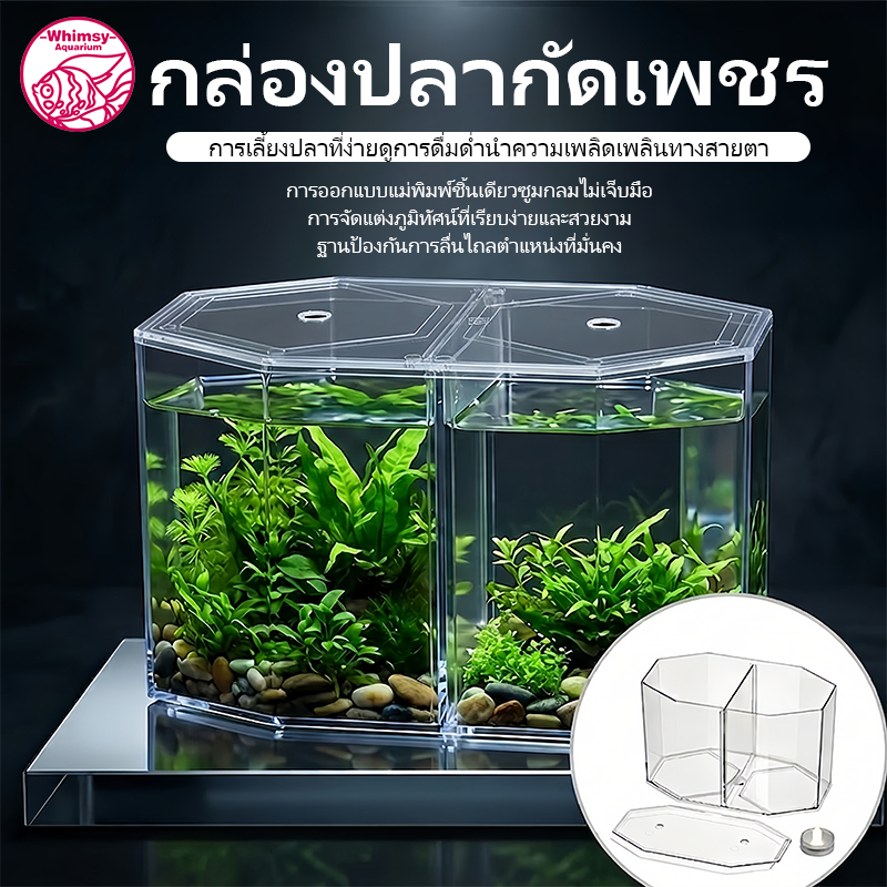 กล่องปลากัดเพชร 2 ช่อง แยกปลากัดไม่ให้กัดกัน วัสดุอะคริลิคใสสูง 360 องศา ขอบมุมกลมปลอดภัย ตู้ปลาบนโต๊ะตกแต่งภูมิทัศน์