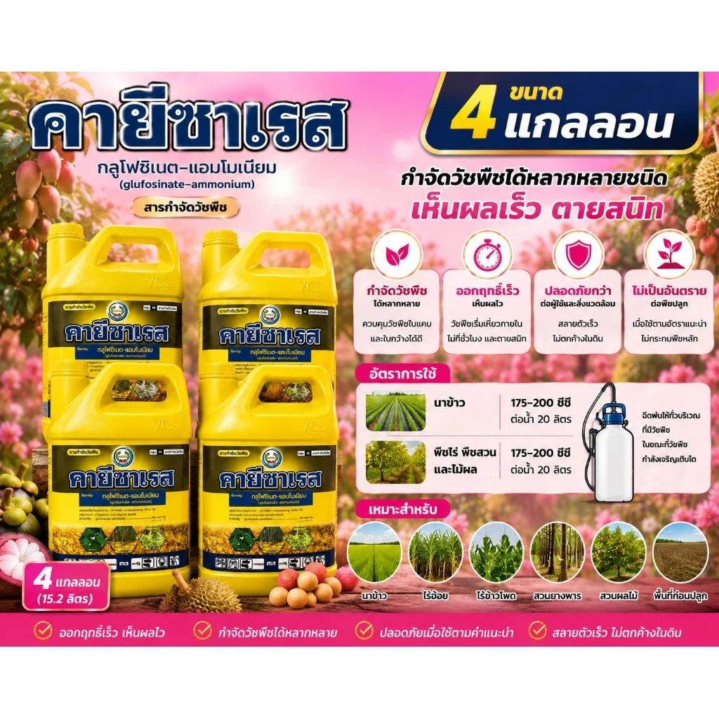 คายีซาเรส 4ลิตร เซท 4 แกลลอน