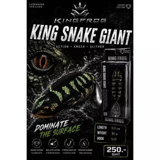 กบยางkingfrog kingsnake giant กบยางคิงฟร็อก คิงสเน็กไจแอนท์