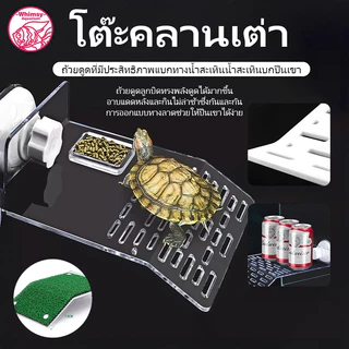 บกเต่า แพลตฟอร์มยืนตากแดดสำหรับเลี้ยงเต่า ที่พักเต่า เต่าญี่ปุ่น มีที่ใส่อาหาร