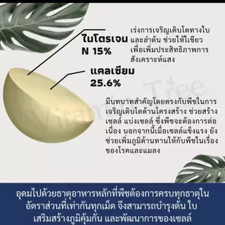 ยาราลีว่าไนตราบอร์ ( ปุ๋ยเคมีสูตร 15-0-0 ) ขนาด 25 kg. ปุ๋ยคุณภาพมาตรฐานยุโรป เสริมโบรอนให้พืชเจริญเติบโตสมบูรณ์