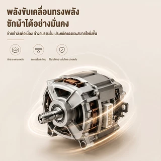 CAMEL เครื่องซักผ้าฝาบน 6.5KG ฝาครอบกระจกนิรภัย Washingmachine ฆ่าเชื้อและกำจัดไรฝุ่น99% เครื่องซักผ้าอัตโนมัติ สีเทา