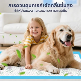 【PET RECORD】🔥 แผ่นรองซับฉี่กลิ่นลาเวนเดอร์ S/M/L/XL 100/50/40/20 แผ่น ซึมซับเร็ว ลดกลิ่น