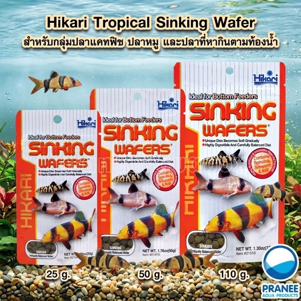 Hikari Tropical Sinking Wafer 25-110 g. สำหรับกลุ่มปลาแคทฟิช ปลาหมู และปลาที่หากินตามท้องน้ำ