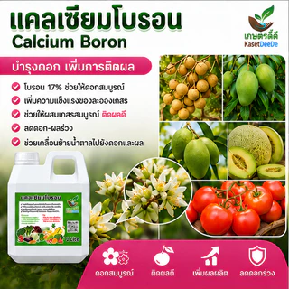 แคลเซียมโบรอน สูตรน้ำเข้มข้น (1ลิตร) ลดปัญหาดอกร่วง ผลร่วง ผลแตก ใบไหม้ ยอดกุด เพิ่มคุณภาพผลผลิต ที่เกษตรกรเลือกใช้