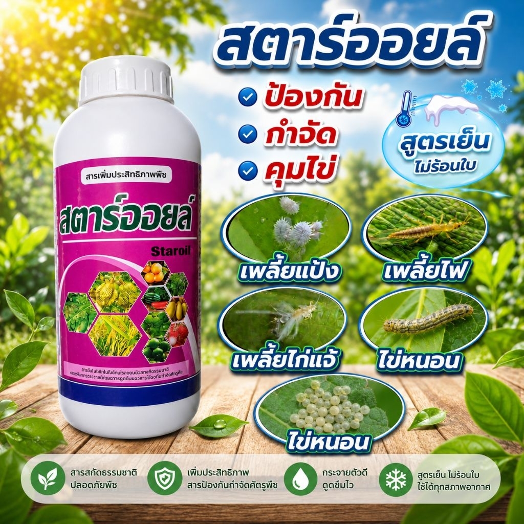 สตาร์ออยล์[ไวต์ออยล์99%สูตรน้ำใส] คุมไข่อุดรูหายใจแมลงมาตรฐาน USPGgradeอาหารและยาจากสหรัฐอเมริกาใช้กับพืชออแกนิคได้