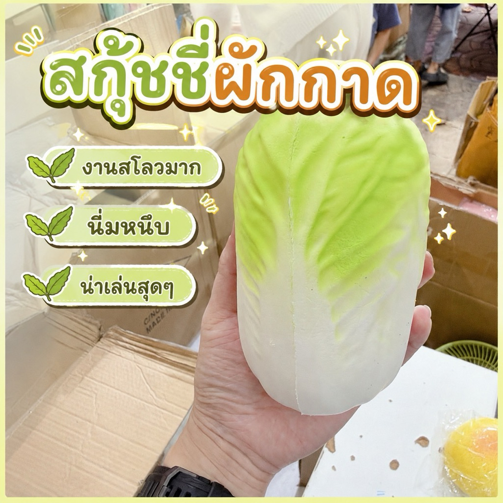 สกุชชี่ ผักกาด มาใหม่