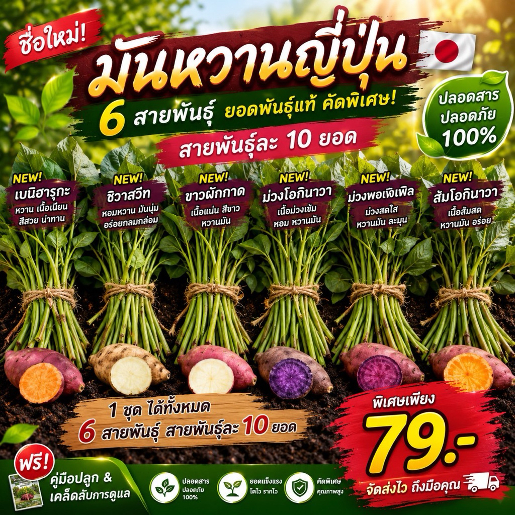 79.-🌱🔥ชุดทดลองปลูกมันหวานญี่ปุ่น 6 สายพันธุ์ สุ้คุ้มพร้อมคู่มือ
