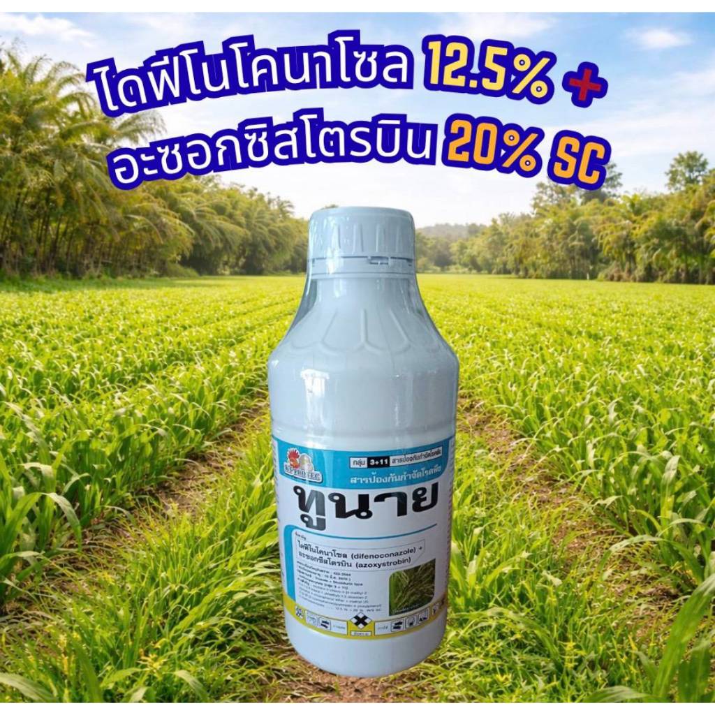 ทูนาย ไดฟีโนโคนาโซล+อะซอกซีสโตรบิน โรคใบไหม้แผลใหญ่ โรคกาบใบแห้ง โรคเน่าคอรวง โรคพืชเชื้อรา ขนาด 1 ลิตร
