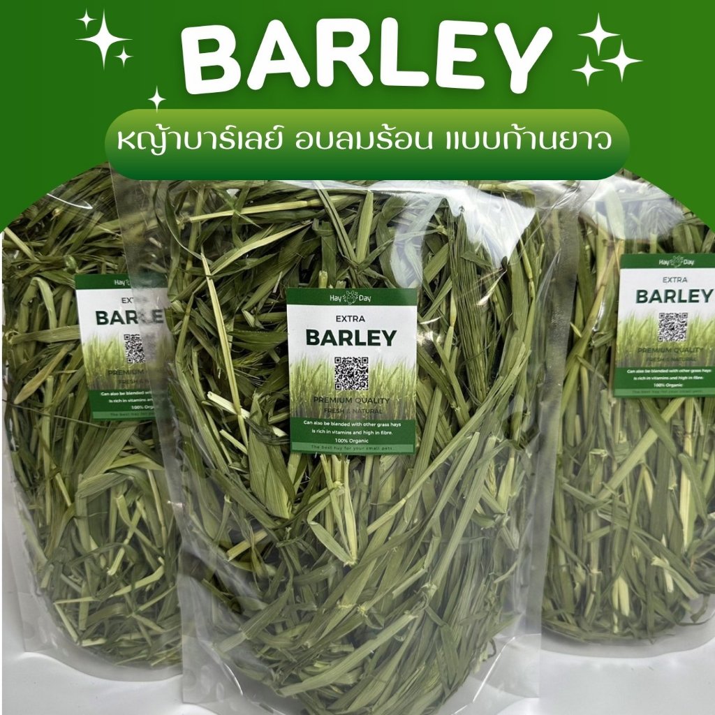 ✿หญ้าบาร์เลย์✿ Barley บาร์เล่ย์ อบลมร้อน คัดพิเศษ เกรดพรีเมี่ยม สำหรับกระต่ายและสัตว์ฟันแทะทุกชนิด