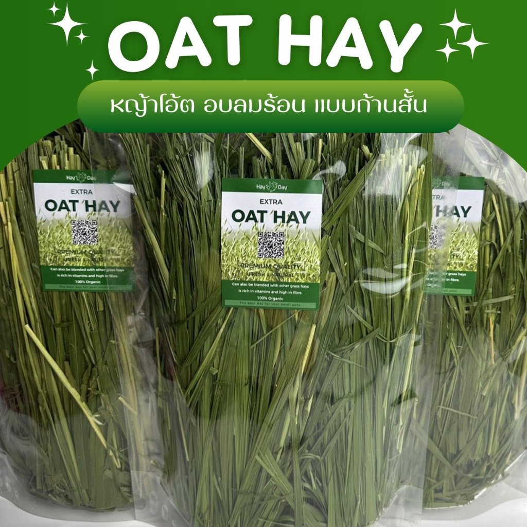 ✿หญ้าโอ้ต✿ OAT โอ๊ต อบลมร้อน คัดพิเศษ เกรดพรีเมี่ยม สำหรับกระต่ายและสัตว์ฟันแทะทุกชนิด