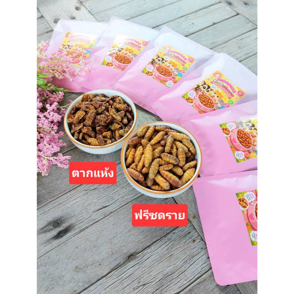 ดักแด้ฟรีซดราย ตัวอ้วนสวย ไม่ใส่เกลือ อาหารสัตว์เล็ก