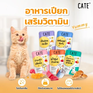 CATE อาหารเปียกแมว [ยกโหล 12 ชิ้น ] ขนาด 70กรัมต่อซอง เปียกน้องแมวบำรุงสุขภาพ