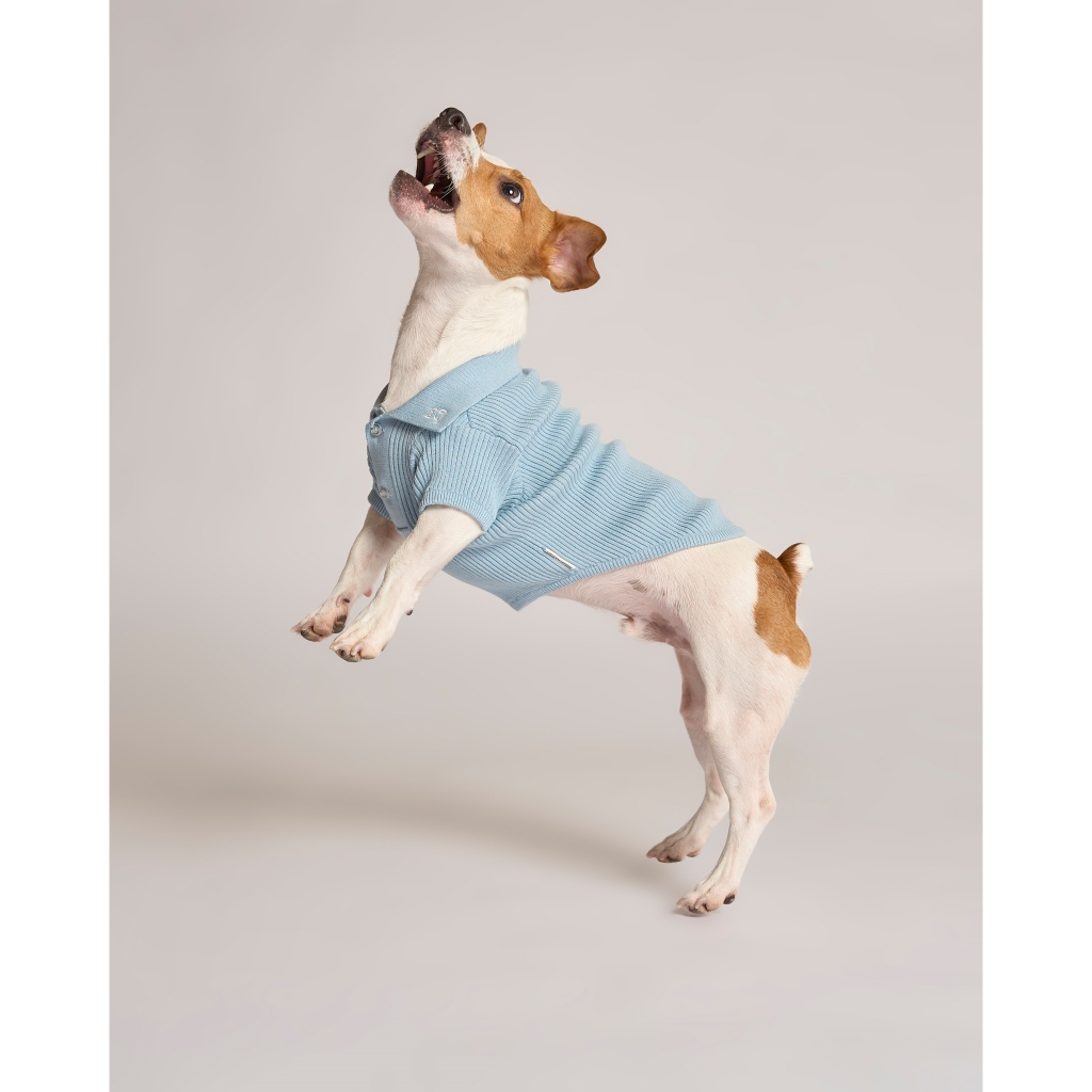 Midnight Layer - Classic Polo Collection - BABY BLUE