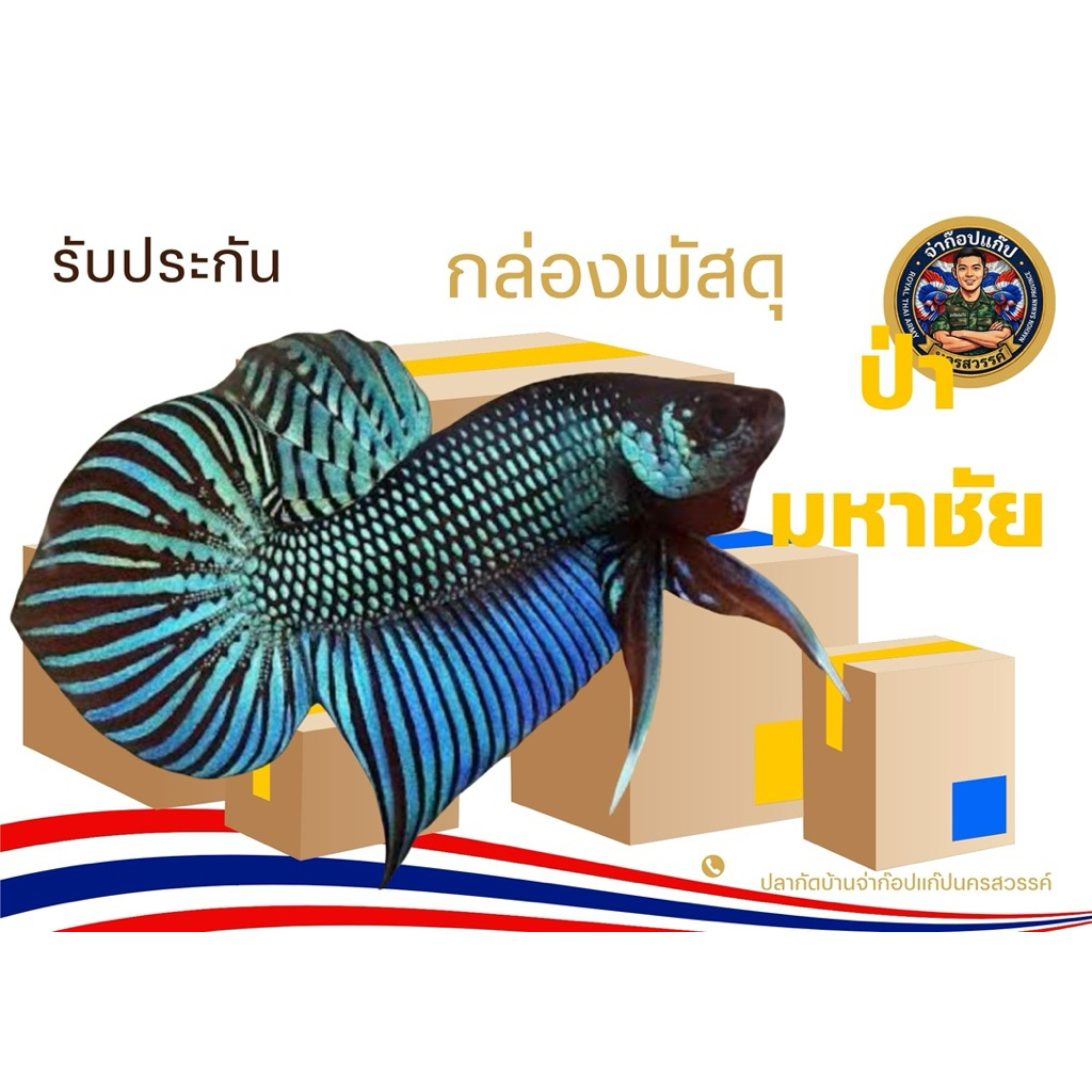 อุปกรณ์ตกแต่งตู้ปลา “ป่ามหาชัย”งานเกรดสวยงาม1กล่อง
