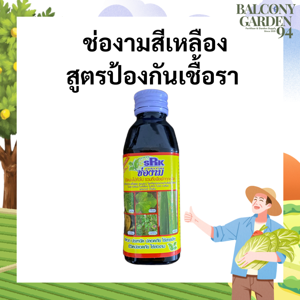ช่องามสีเหลือง สูตร กำจัดเชื้อรา และแบคทีเรีย โรคพืช ต่างๆ