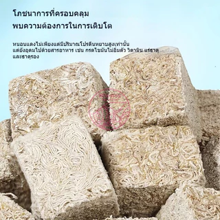 หนอนแดงฟรีซดราย อาหารปลาแห้ง หนอนอบแห้ง Freeze Dried อาหารลูกปลาทอง ปลากัด ปลาหางนกยูง ปลาบอลลูน